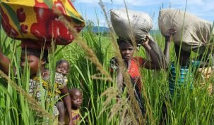 Déplacés internes, Pweto, Population africaine, Triangle de la mort